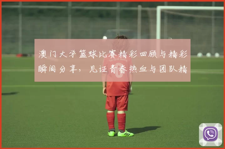 澳门大学篮球比赛精彩回顾与精彩瞬间分享，见证青春热血与团队精神的碰撞